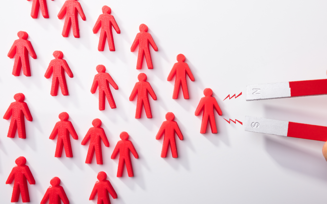 Lead Magnets for Your Website