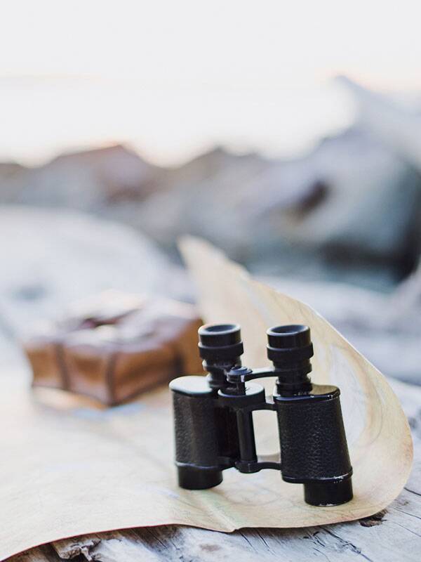 travel-binoculars › Agent Pipeline